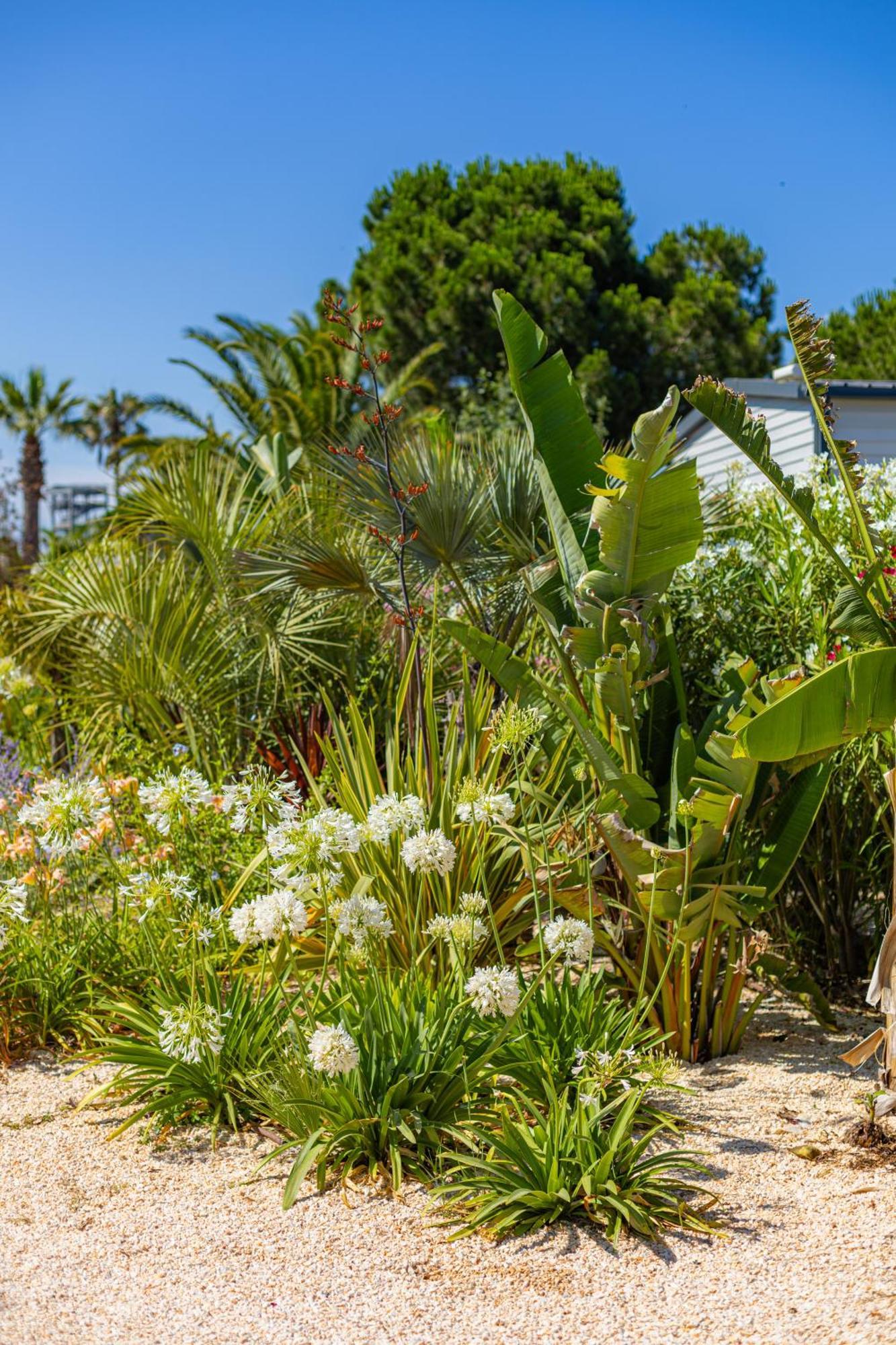 Residence Antinea Argelès-sur-Mer Exterior foto